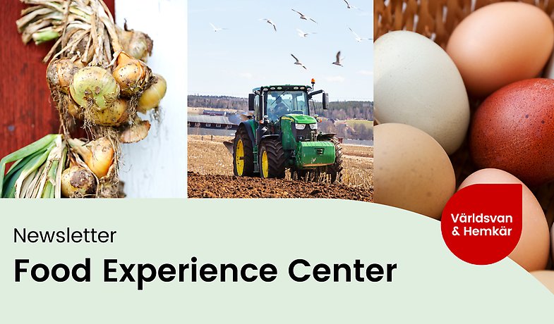  A collage featuring potato harvesting, a cow in a field, and mushroom cleaning.